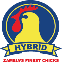 Hybrid Logo