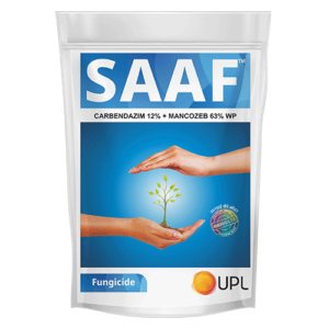 SAAF