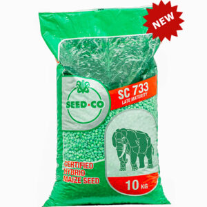 Seed Co Hybrid Maize Seed