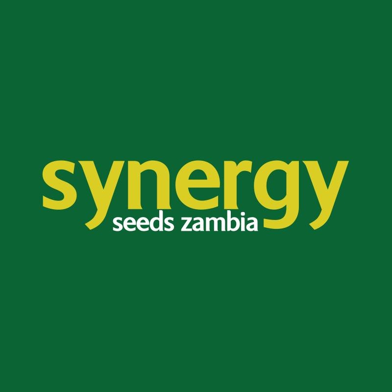 Synergy logo